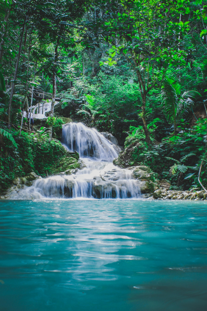 Advice 1 Donnas blog posts 683 x 1024px 16